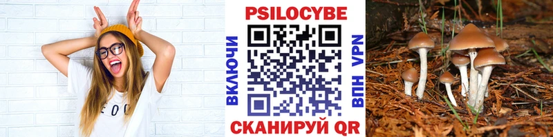 Псилоцибиновые грибы Magic Shrooms  цены   Чаплыгин 