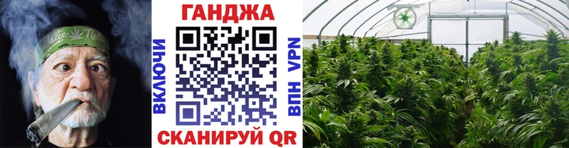 Каннабис гибрид  Чаплыгин 